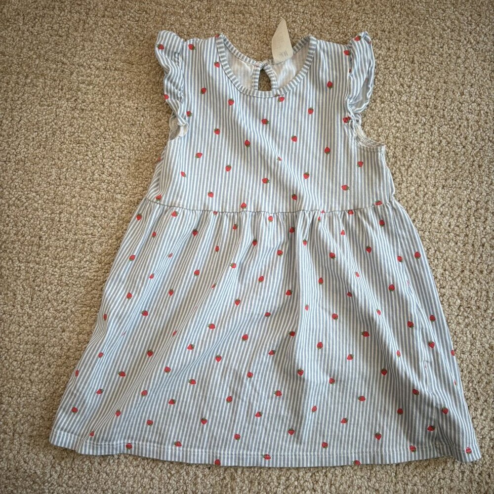 H&M Striped Strawberry Dress